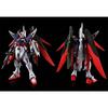 HG 1/144 Destiny Gundam Spec II Final Battle Image Color Assembled Plastic Model