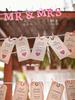 120Pcs Blue and Pink Gender Reveal Clothespins Baby Shower Clothes Pins Plastic Small Clips with Jute Twine for Party Favors