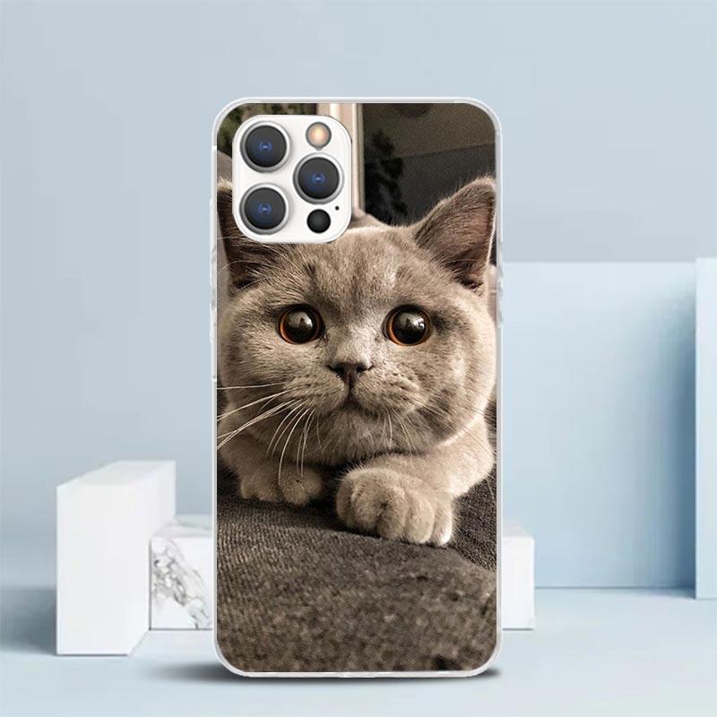 British Shorthair Cat Phone Case For IPhone 16 17 Air 16E 15 14 Plus 13 Mini 12 11 Pro Max 7 8 + SE 2020 Soft TPU Back Cover 16