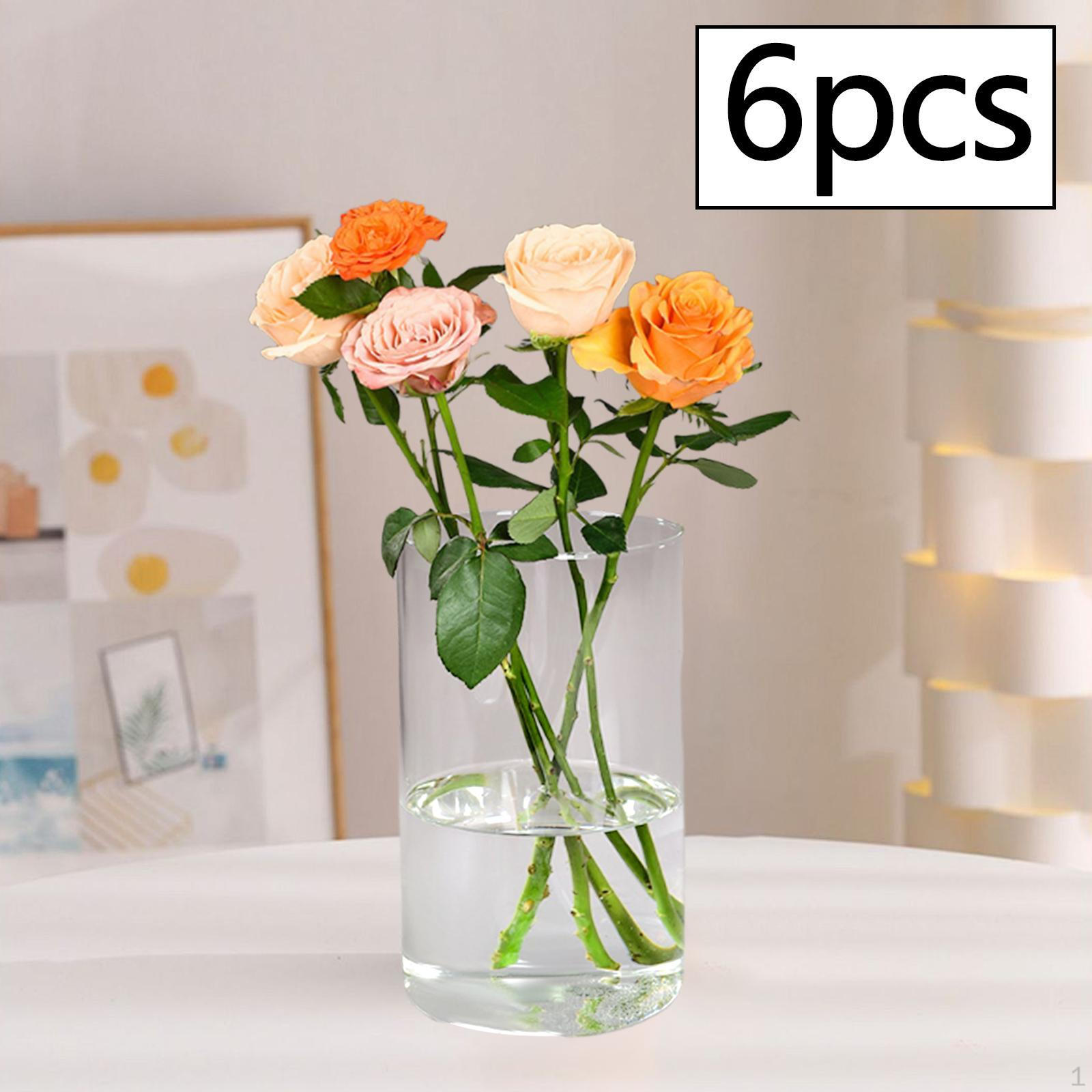 

Цилиндрические вазы для цветочных композиций и свечных дисплеев для дома 6 Pieces