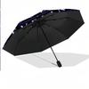 Portable Auto Folding Umbrella,Solo Leveling 8 Rib Waterproof Umbrella For Camping Commute