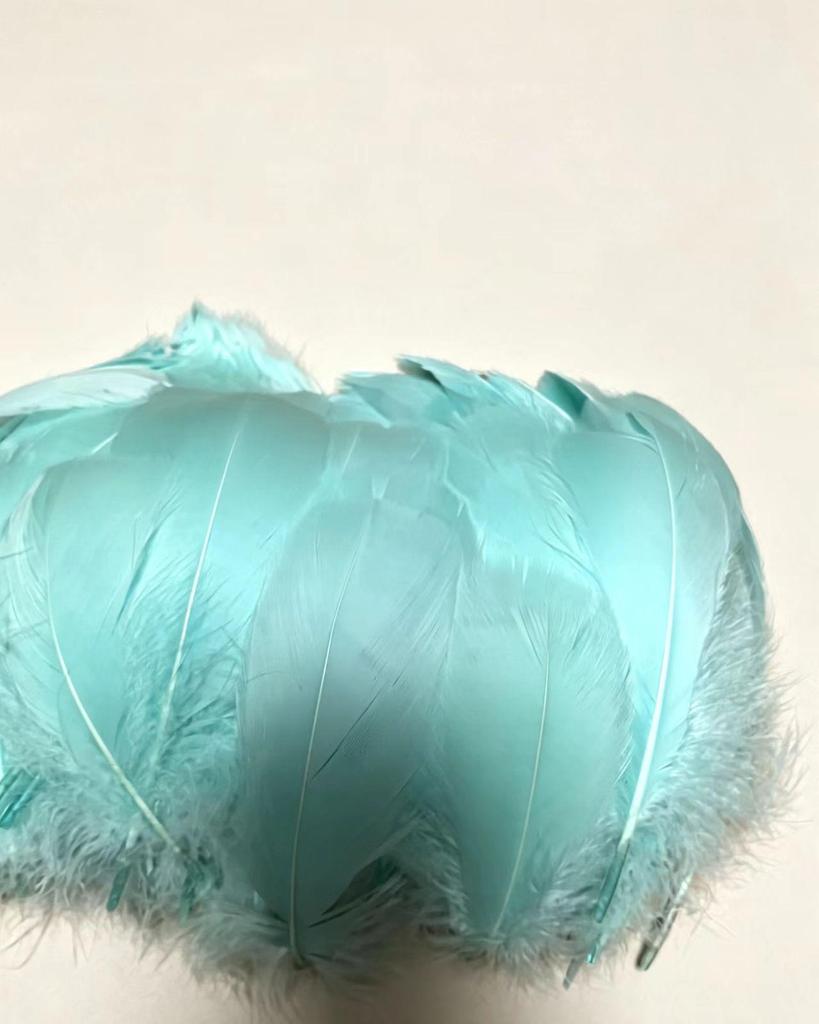 Large Soft Goose Feathers 14-18cm for DIY Dreamcatchers, Flowers & Crafts