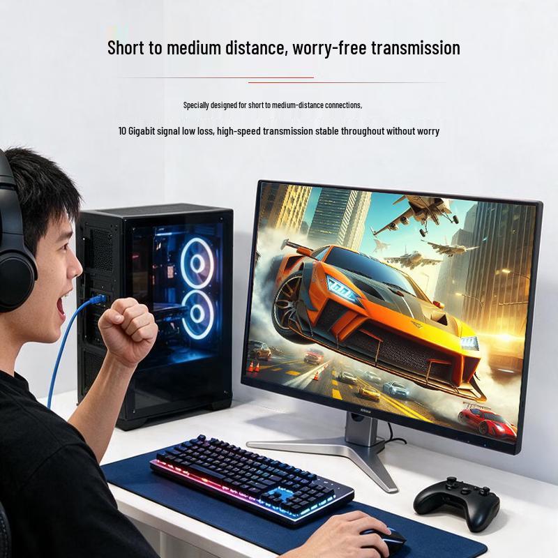 Dashenglight CAT6A Oxygen-Free Copper Ethernet Patch Cable