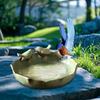 Ceramic Bird Bath Feeding Bowl - 10 Inch Multifunctional Garden Birdbath Parrot Watering Container for Deck Balcony Lawn Decor