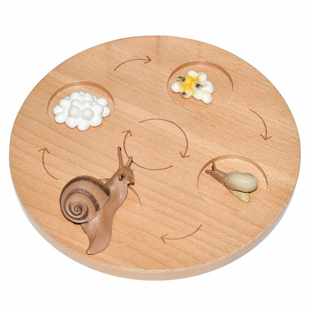 Handson-Earth Cycle Learning Toy Set Interactive Life Early