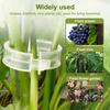 30Pcs Agricultural Gardens Plants Vines Buckles Fixing Hooks Brackets Greenhouses Vegetable Tools Plastic Flower Pots