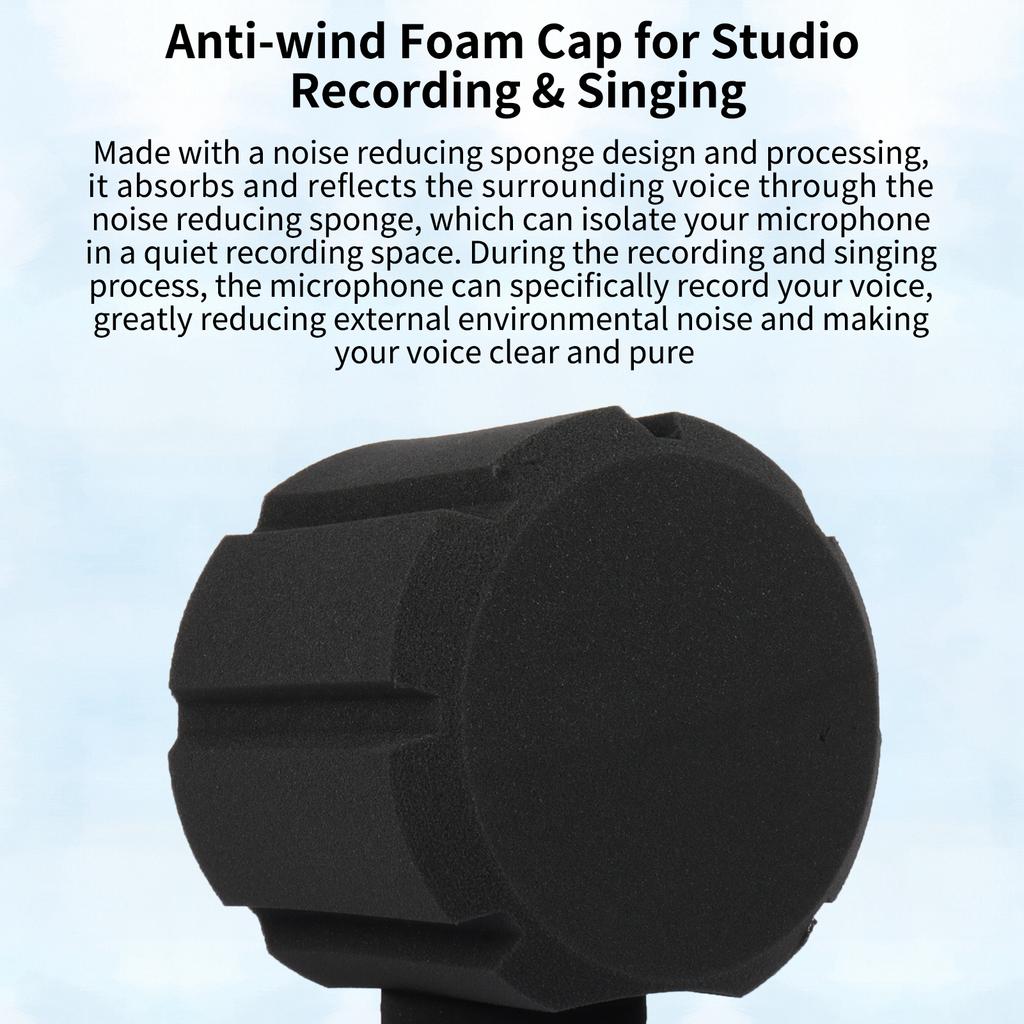 Studio-Kondensatormikrofon Windschutz Schallabsorbierender Schaumstoff Mikrofonabdeckung Schaumstoff Schutzkappe Windschutzkappe Abdeckung Mikrofon