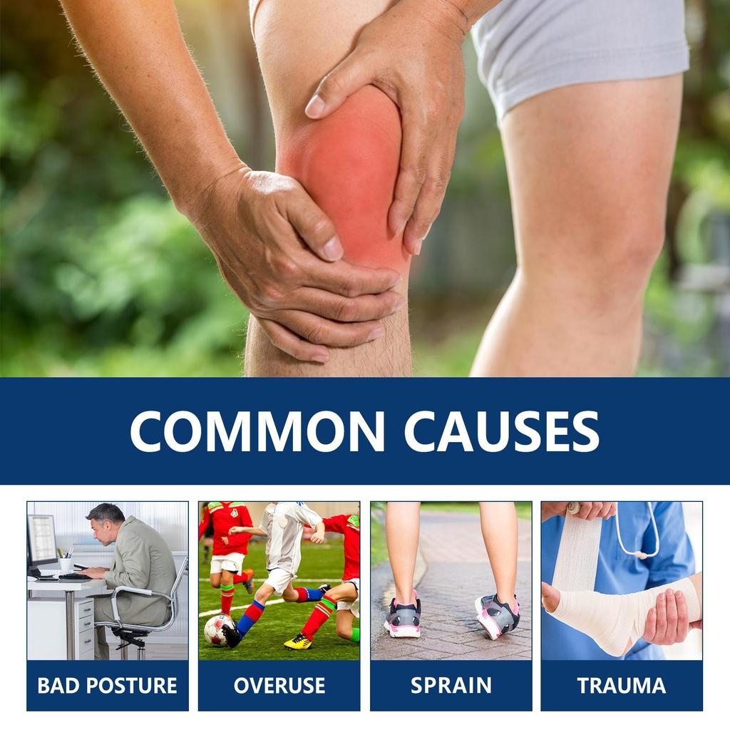 XIMONTH Bee Extract Comfort Cream for Lumbar, Knees & Muscles - Joint Massage Care