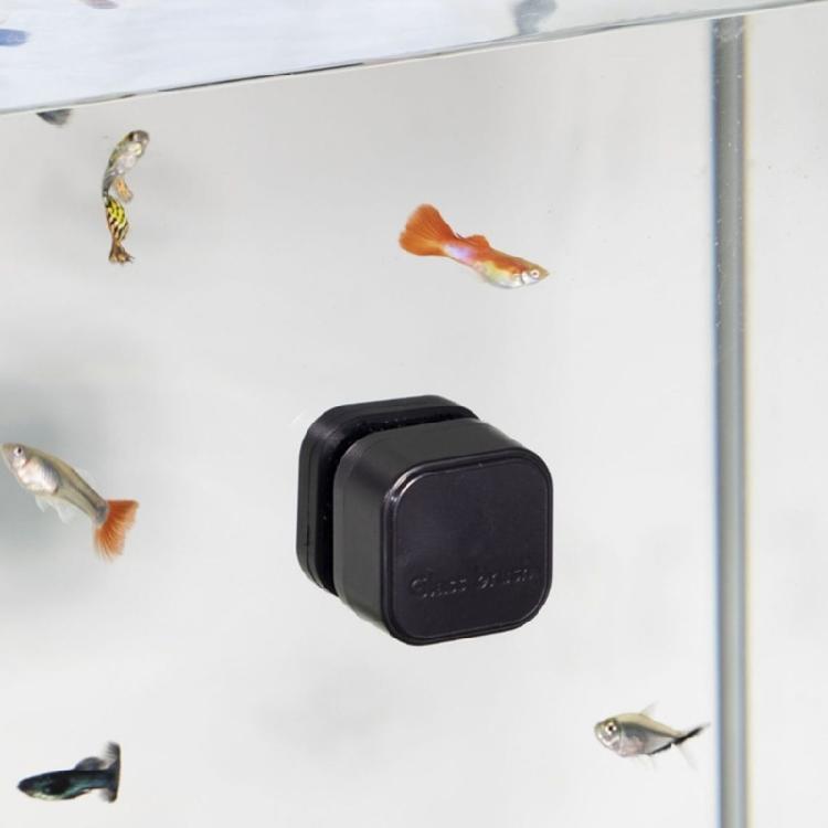 Magnetische Aquarien Glasreiniger Kleine Größe Schaber für die meisten kleinen Becken Reinigt Zubehör Mini-Größe