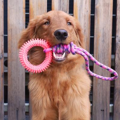 Interactive Thorn Circle Dog Rope Ball Toy for Teeth Grinding and Cleaning