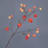Long Branches Artificial Lantern Fruits Bouquets Red Plastic Fake Flower  Home Vase Decor