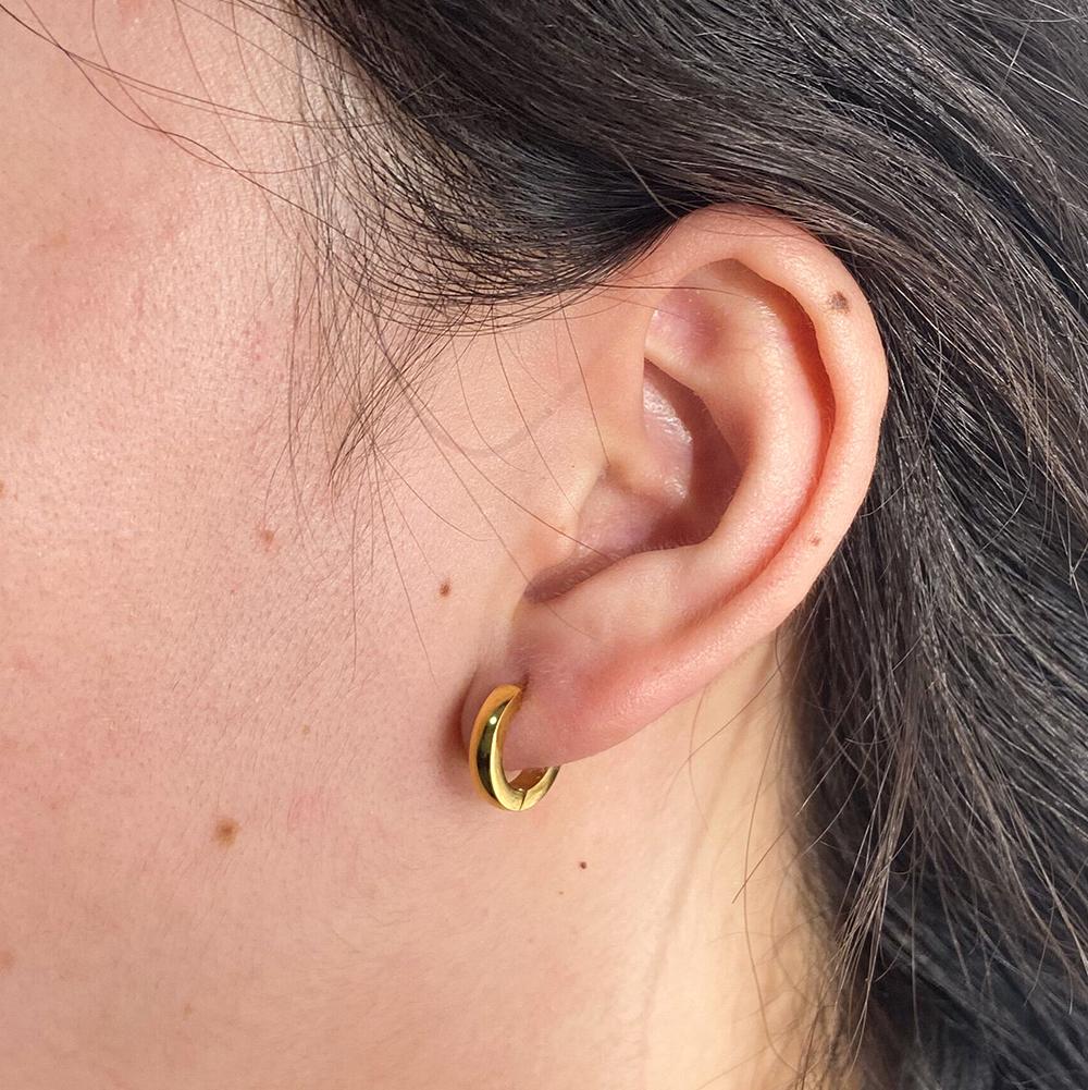 Fenny Statement Mini Simple Basic Hoop Earring Trend for Women No Fade Stainless Steel Ladies Jewelry
