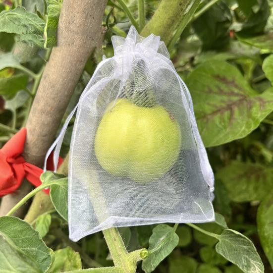 Fruit Protection Bags Drawstring Closure Mesh Fruit Bag Reusable Fine Mesh Covers for Tomatoes Strawberries Vegetables Protection from Insects Birds