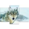 Dreiteiliger Leinwanddruck „Wolf Animal Nature“.