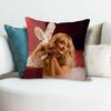 SSabrina CCarpenter Friend Anime Celebrity Merchandise AllMatch Printed Pillow Case Sofa Car Office Room Decoration Protector