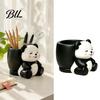 Cute Gifts for Plant Lovers Panda Succulent Planter, Resin Cartoon Animal Pot, Planter Decorative Pot Indoor Office Desk, Balcony, Garden Creative