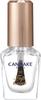 Canmake Colorful Nails Ntc Top Coat 8ml