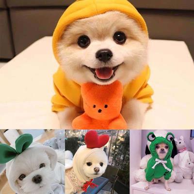 Felpa con cappuccio con coulisse per cani, carota, banana e nebbia, autunno e inverno, abbigliamento caldo per animali domestici