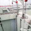 Corrosion-Resistant Stainless Steel Sludge Pump with Guide Rail and Check Valve