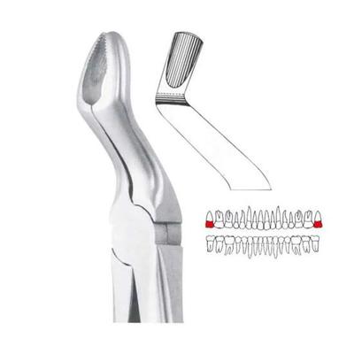 Saúde oral – Ferramentas dentárias