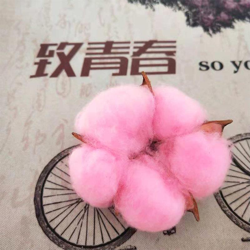 Natural Immortal Cotton Dried Flowers, Single Simulated Fake Flower Cotton Head Shooting Props Flower Arrangement Accessories Art Decoration