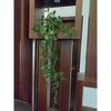 Home Artificial Vine;Pine;Fern;Ivy Plants with Pot Natural Look & Plastic Material  with Small Size Pot Size 27 X 75 X 7 Cm, Pack of 1 (Green)