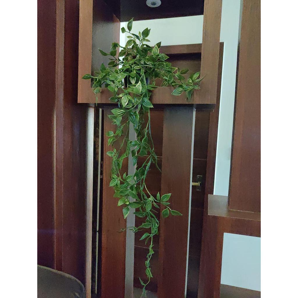 Home Artificial Vine;Pine;Fern;Ivy Plants with Pot Natural Look & Plastic Material  with Small Size Pot Size 27 X 75 X 7 Cm, Pack of 1 (Green)