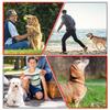 MiderHao Mooring Cable Dog Leash Garden Dog Runner Dog Cable 60KG Outdoor Dog Chain 2m/3m/4.5m
