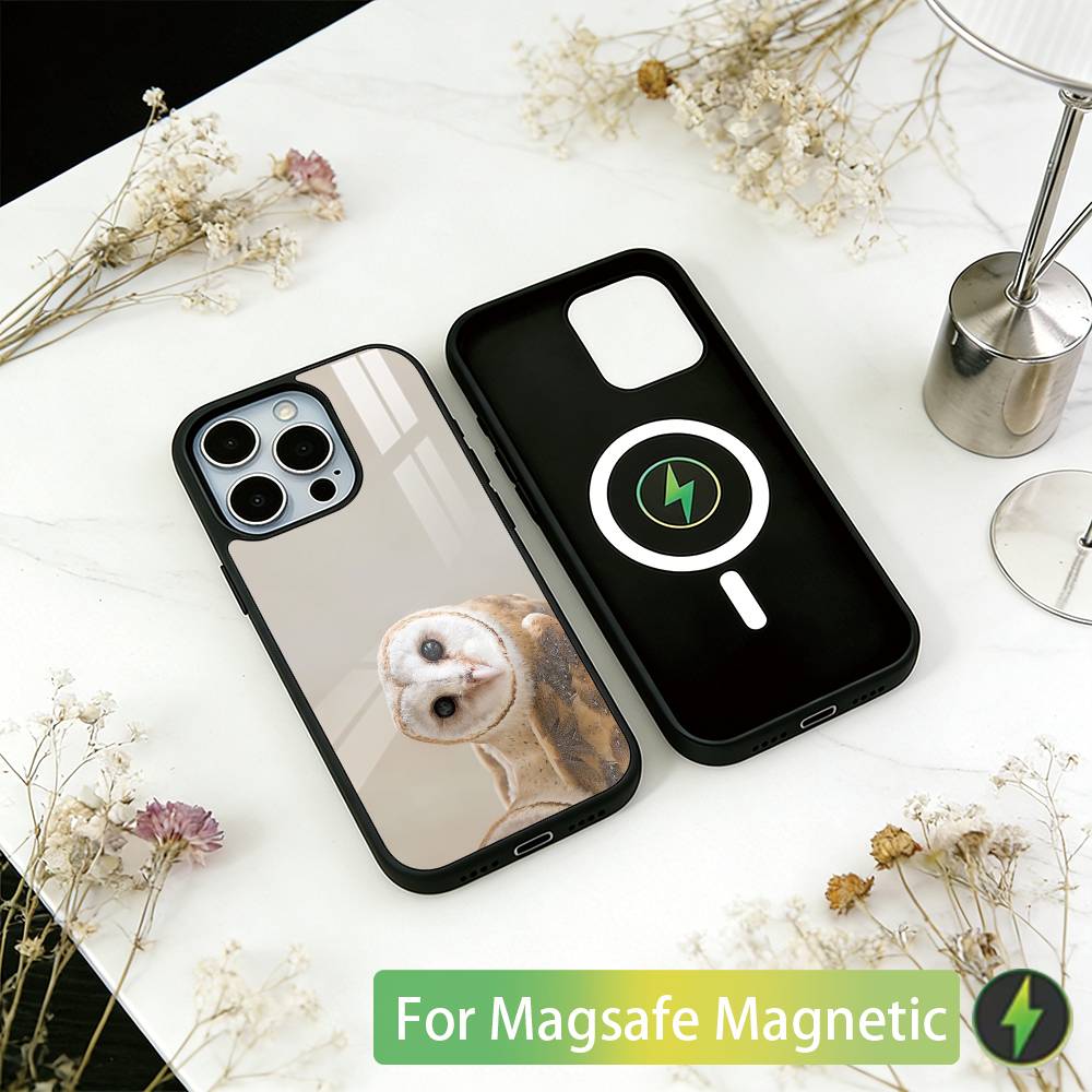 Haustier Süße Eule Handyhülle Für iPhone17,16,15,14,13,12,11 Plus,Pro Magnetisch Für Magsafe Kabelloses Laden