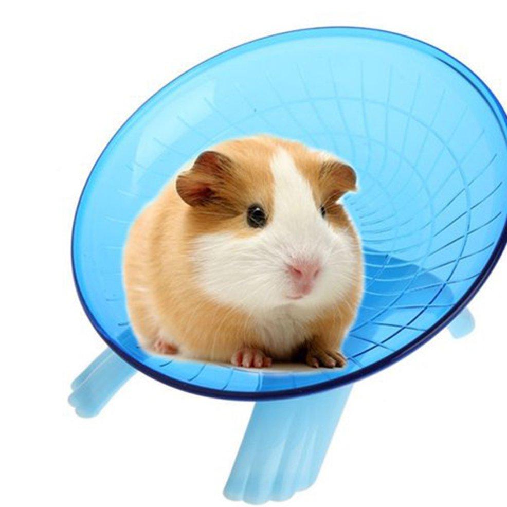 guinea pig exercise wheel
