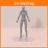 Figma Action Figure Male Female Pvc Model For Drawing And Display Enthusiasts