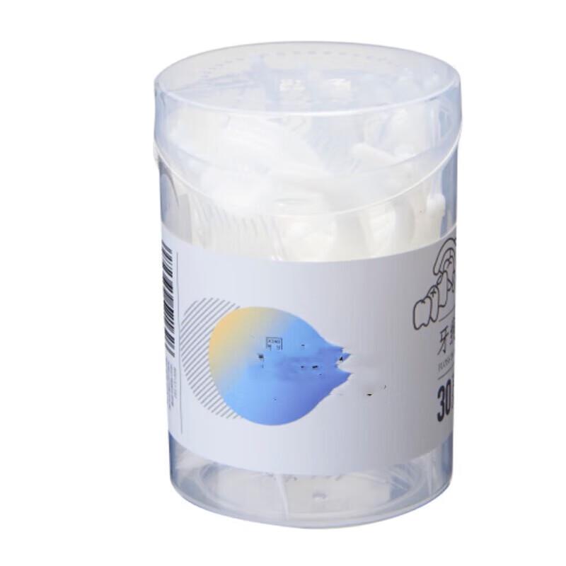 Saikeyou Disposable Dental Floss Picks, 300 Count