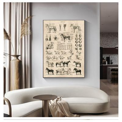 Drucke Biologie Wandkunst Dekor, Pferd Illustration Tier Poster Leinwand Malerei Büro Dekor Vintage Französisches Pferd Anatomie Diagramm Kein Rahmen