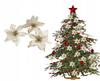 Christmas Star Flowers 6 Pcs [Se-Gb16]
