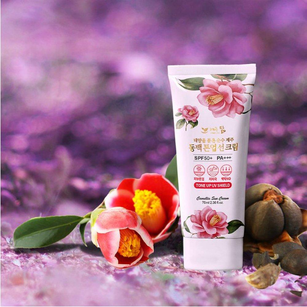 jejudarm camellia tone-up sun cream 50ml sun block