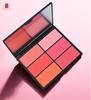 Six-Color Blush Palette: Large Multi-Tone Rouge for Makeup Artists and Students - Ideal for Studio and Stage.