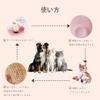 Steam Cat Cat Dog Pet USB with Steam Silicone Suitable for and Long and for Suitable for Cats and Dogs 5-in-1 Brush, Brush, Brush, Brush,