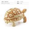 Simulation Amphibian Reptile Model Tortoise Tortoise Star Tortoise Static Decoration Cognitive Ornament Toy