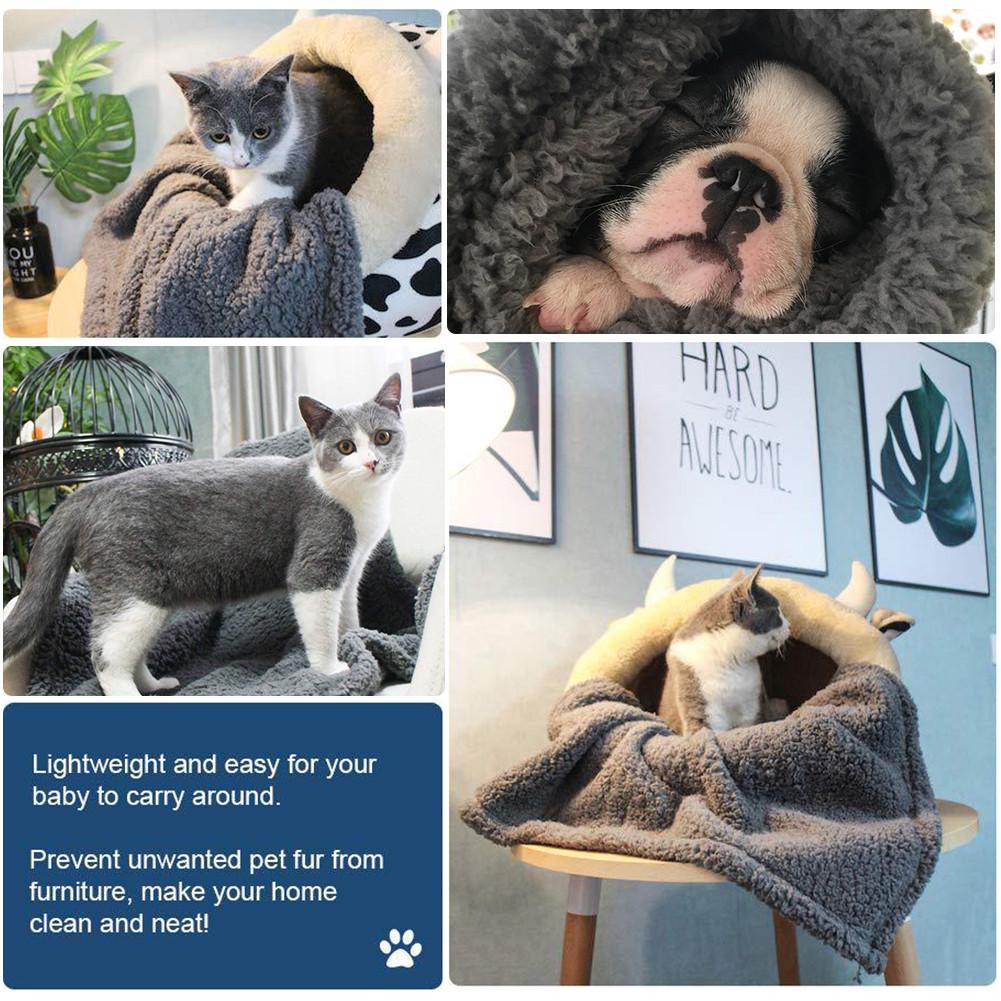 extra large dog blankets