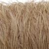 Feather1 Bundle Piume di Struzzo Naturali Filo Colorato 10-15/15-18CM Piumaggio Soffice Per Abiti Borsa Decorazione Artigianato Cucito