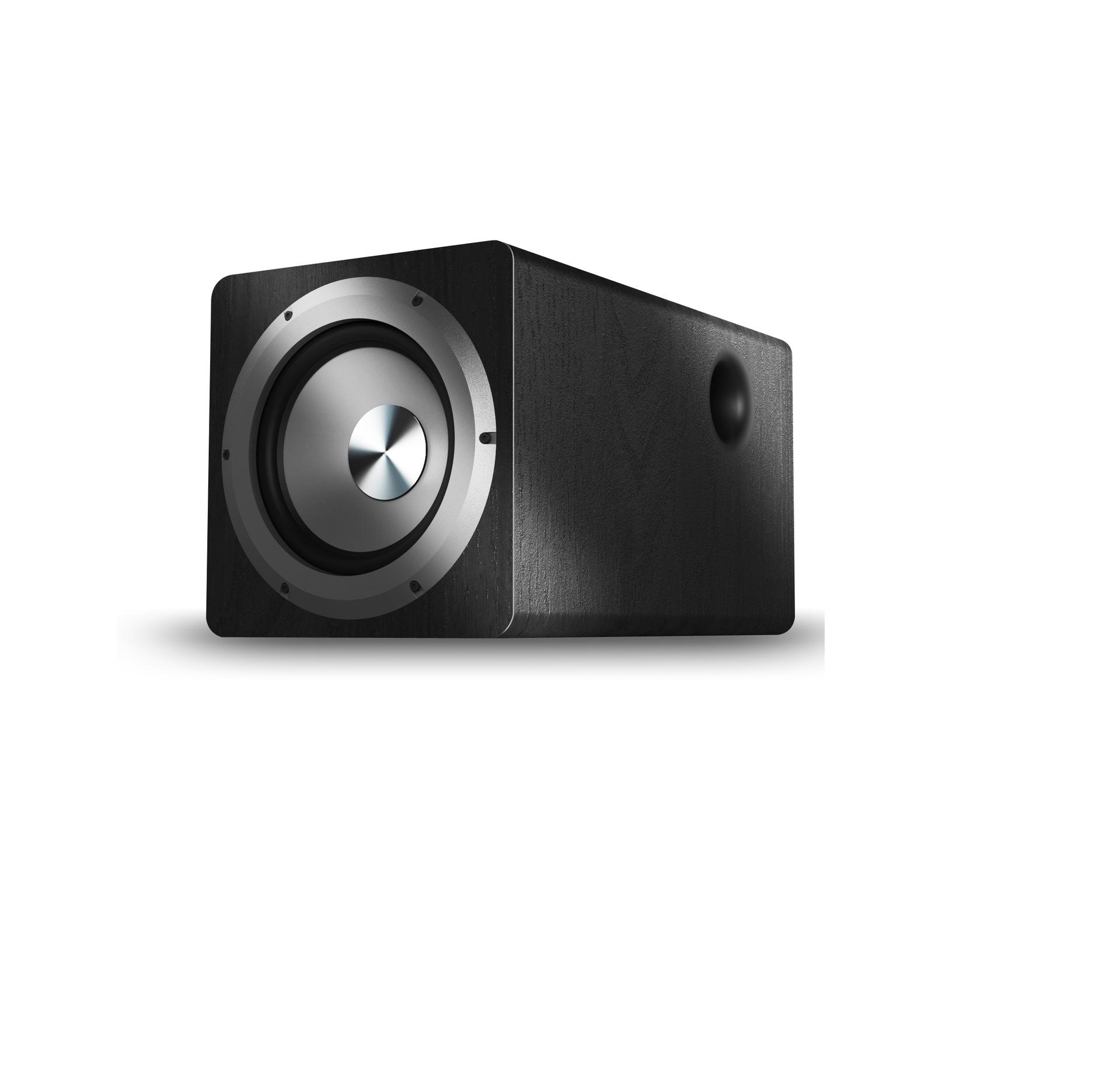 

Tianlai TL-D6 6.5 Active Subwoofer for Bass, Multimedia, Home, KTV, and Conference.