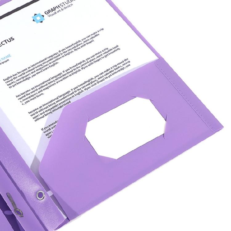 Letter Size File Organiser with 2 Pockets and 3 Prong Document Organiser with 3-Prong and Two Pockets for School Office