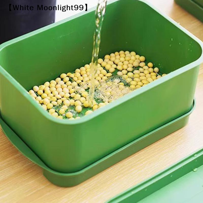 Seed Sprout Tray Garden Hydroponic Peanut Sprouting Box Mini Greenhouse Germination Kits Germination Soilless Planting Pot