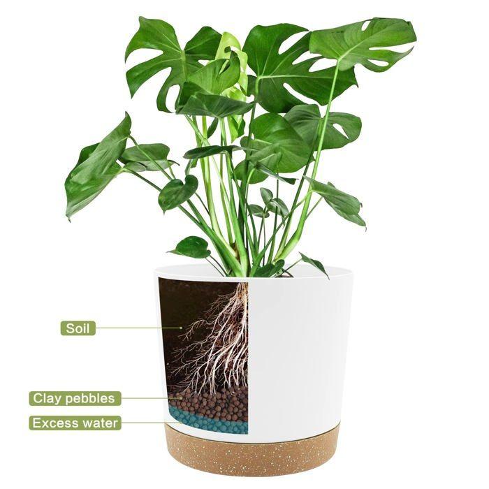 Lot de 2 pots de fleurs 20,3 cm blanc avec drainage et soucoupe amovible