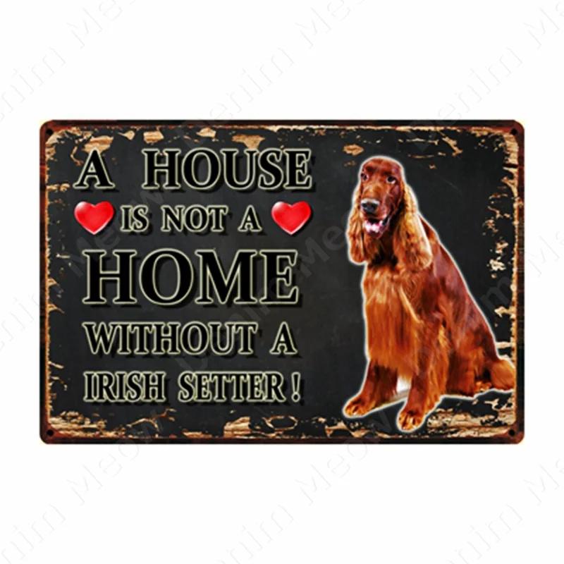 A House Is Not A Home Without A Dog Plaque, Vintage Metal Tin Signs, Bar, Cafe, Home Decor, Springer Spaniel, Wall Art Poster