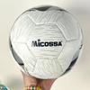 Ziwu Gan 32-Panel Thermal-Bonded Training Football