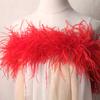 5-Layer Color Encrypted Bold Ostrich Feather Strip Latin Dance Dress Fashion Diy Handmade Clothing Accessories