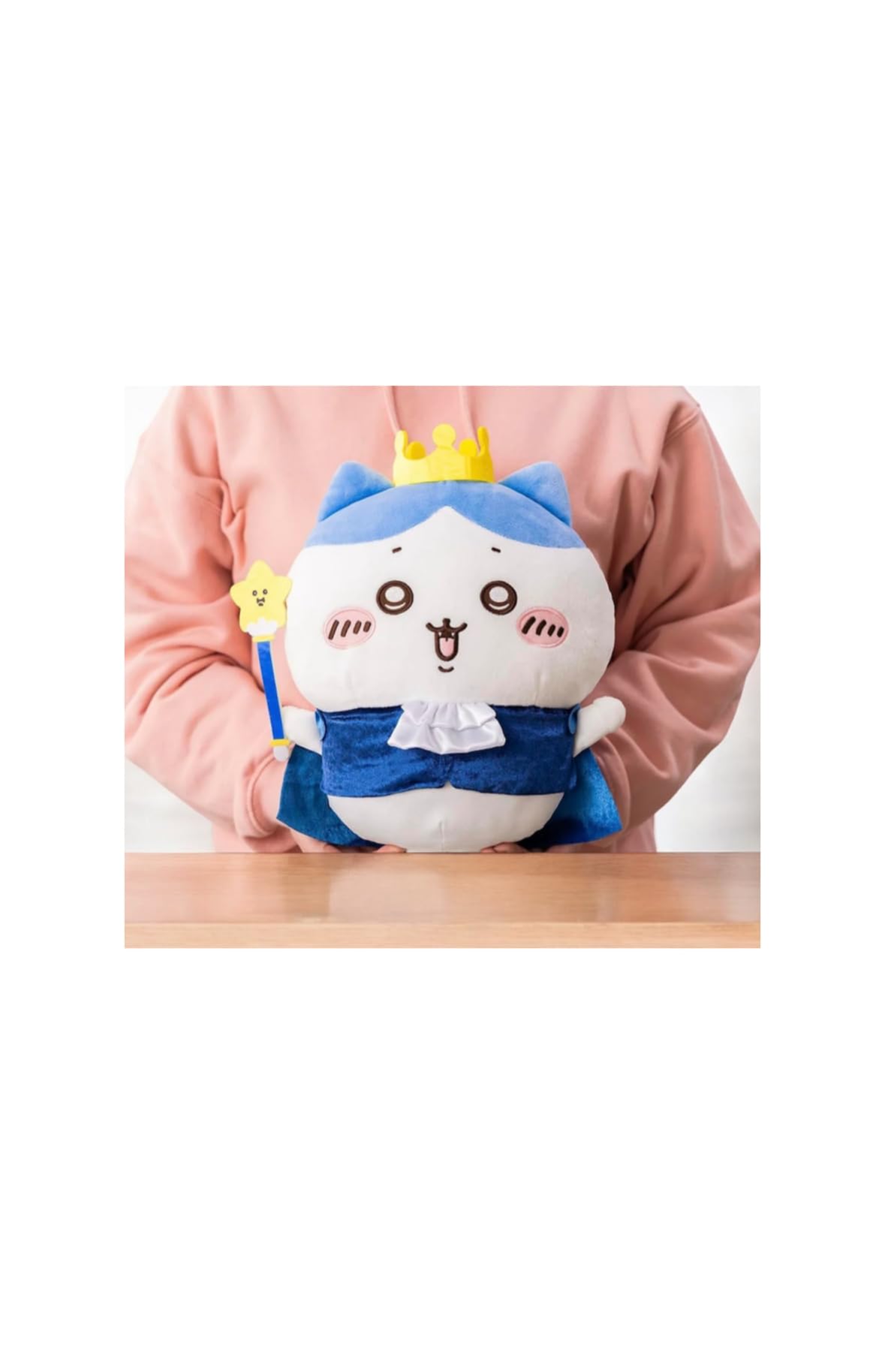 

Birthday Squid BIG Official Plush Toy (Hachiwa)