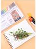 Giorgione Double-Ended Water-Based Fineliner Brush Pens: 24 & 80 Washable Colors