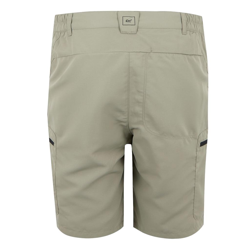 Regatta Mens Leesville III Shorts